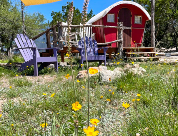 ranch3232-spring-flowers-gypsy-wagon-Web-1200px