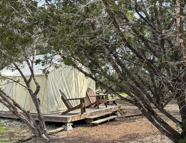 Ranch 3232 Wall Tent Prickly Pear