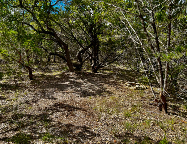 ranch3232-primitive-site f1-Web-1200px