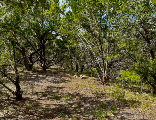 ranch3232-primitive-site f3-Web-1200px