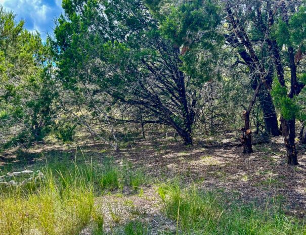 ranch3232-primitive-site h2-Web-1200px