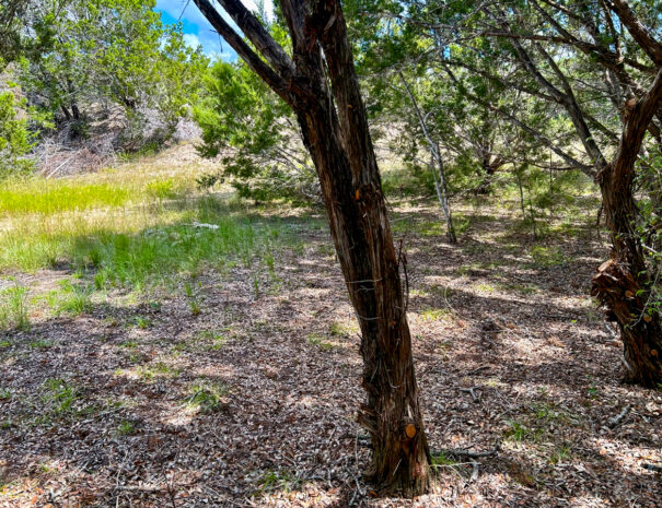 ranch3232-primitive-site h5-Web-1200px