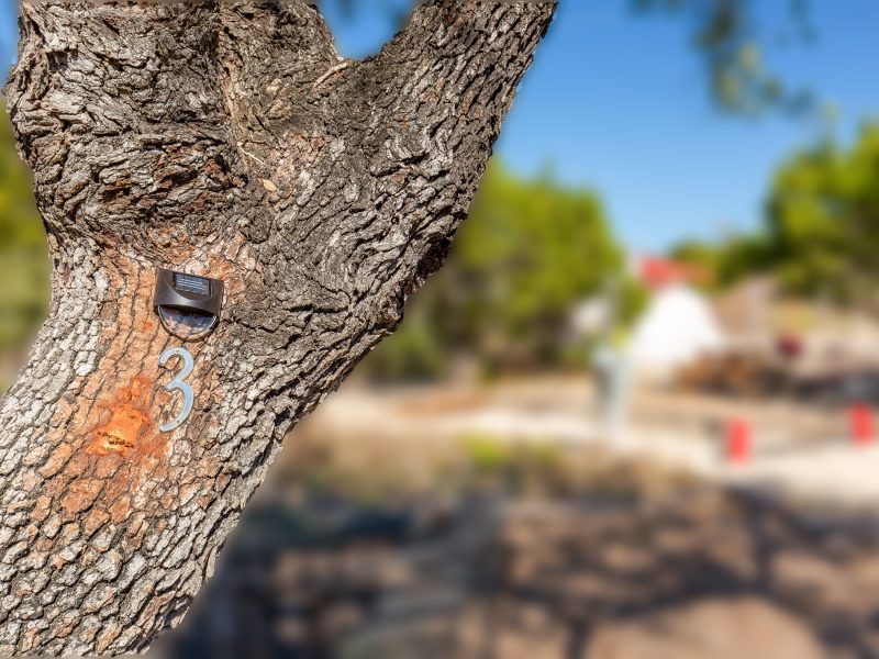 Ranch 3232 offers Hill Country cabin rentals, campsites, RV sites, and glamping tents near Pedernales Falls State Park.