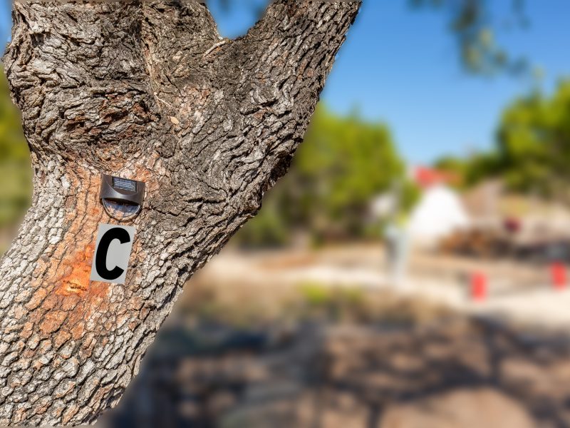 Ranch 3232 offers Hill Country cabin rentals, campsites, RV sites, and glamping tents near Pedernales Falls State Park.