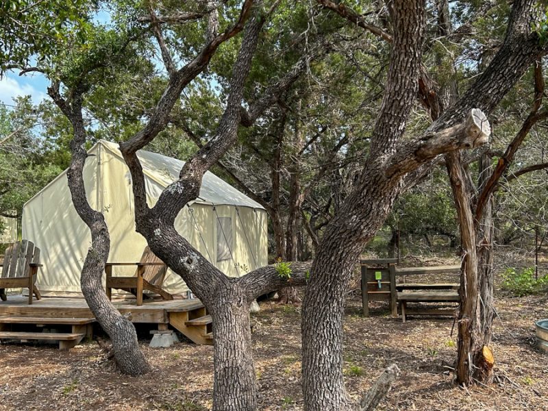 Ranch 3232 Wall Tent Prickly Pear